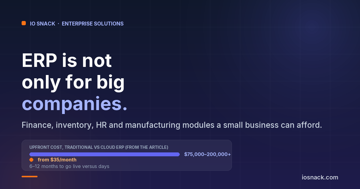 ERP for Small Businesses: Affordable Solutions That Actually Work
